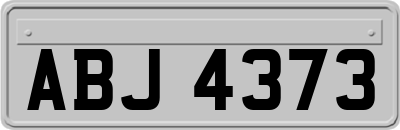 ABJ4373