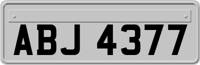 ABJ4377