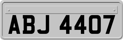 ABJ4407
