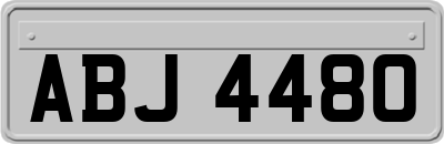 ABJ4480