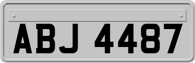 ABJ4487