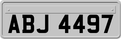ABJ4497