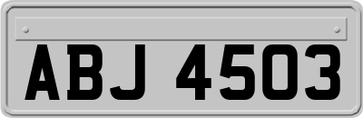 ABJ4503