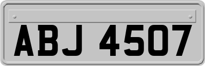 ABJ4507