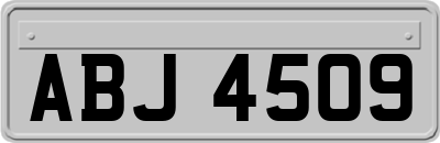 ABJ4509