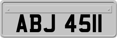 ABJ4511