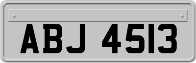 ABJ4513