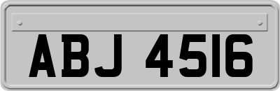 ABJ4516