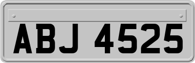 ABJ4525