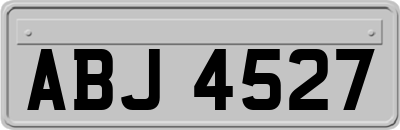 ABJ4527