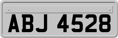 ABJ4528
