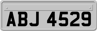 ABJ4529