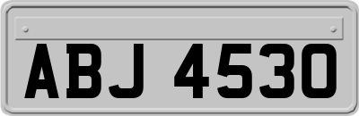 ABJ4530