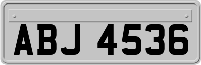 ABJ4536