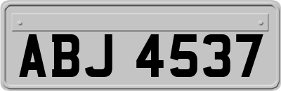 ABJ4537