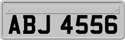 ABJ4556