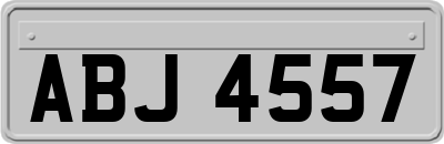 ABJ4557