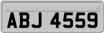 ABJ4559