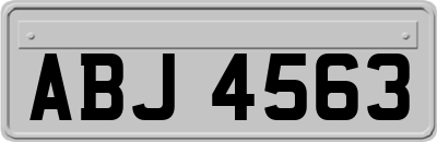 ABJ4563