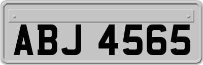 ABJ4565