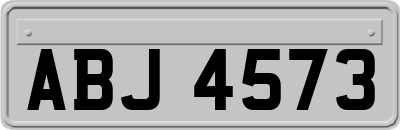 ABJ4573