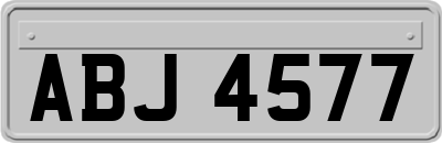ABJ4577