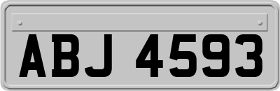 ABJ4593