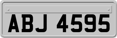 ABJ4595