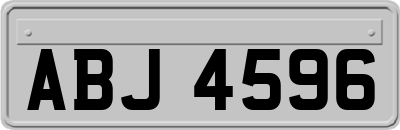 ABJ4596