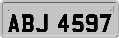 ABJ4597