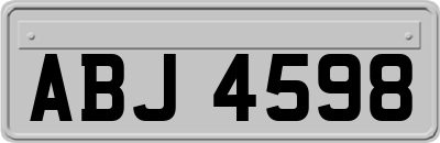 ABJ4598