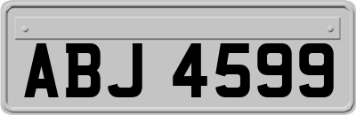 ABJ4599