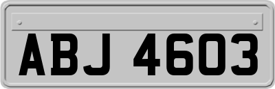 ABJ4603