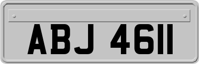 ABJ4611