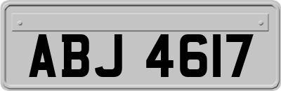 ABJ4617