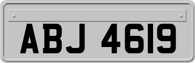 ABJ4619