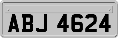 ABJ4624