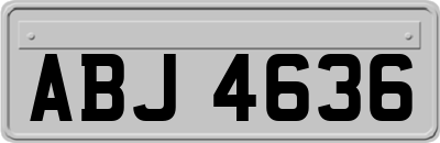 ABJ4636