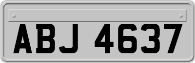 ABJ4637