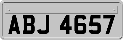 ABJ4657