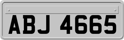 ABJ4665