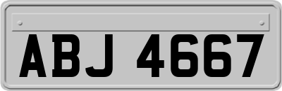 ABJ4667