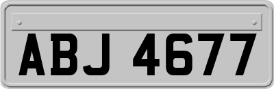 ABJ4677