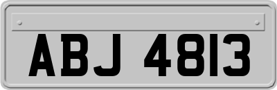 ABJ4813