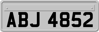 ABJ4852