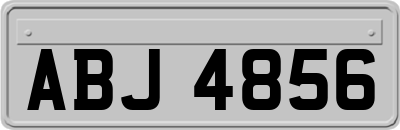 ABJ4856