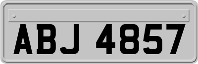 ABJ4857