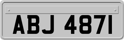 ABJ4871