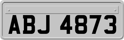 ABJ4873