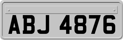 ABJ4876